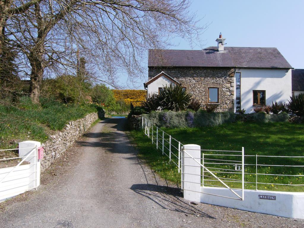 The Village Studio Apartments Moate Eksteriør billede