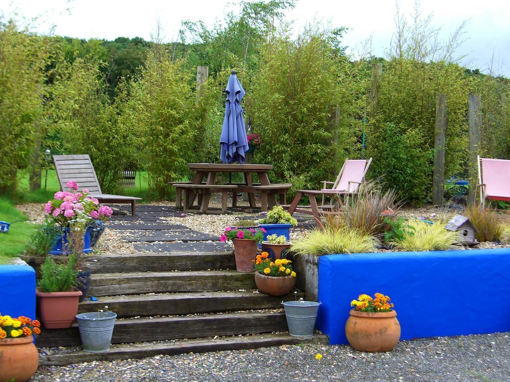 The Village Studio Apartments Moate Værelse billede