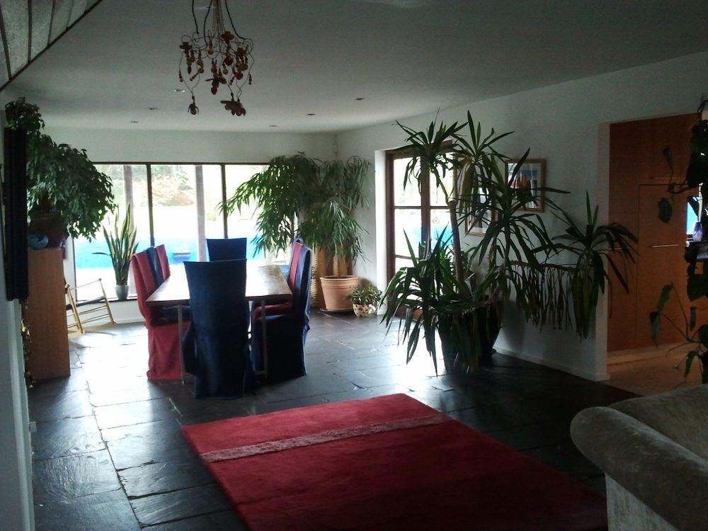 The Village Studio Apartments Moate Eksteriør billede