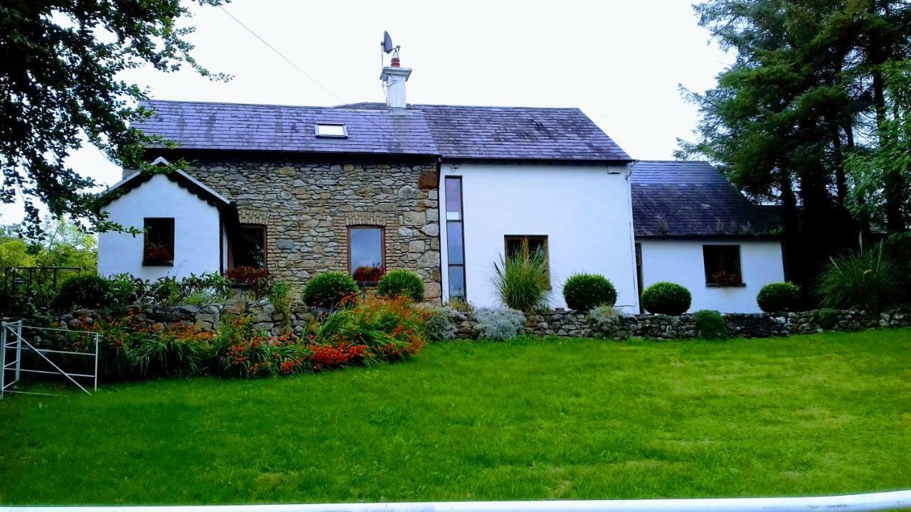 The Village Studio Apartments Moate Eksteriør billede