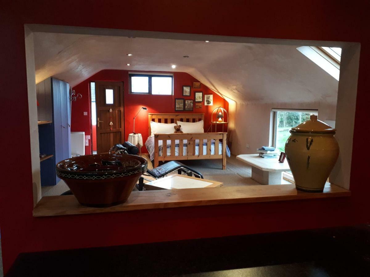 The Village Studio Apartments Moate Eksteriør billede